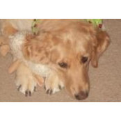Julie Graybill's photo