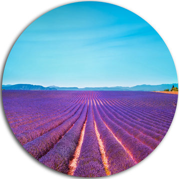 Lavender Flowers And Clear Sky, Landscape Disc Metal Artwork, 11"
