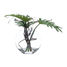 plants