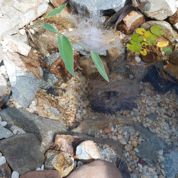 Ponds and Streams