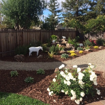 Santa Rosa Breathtaking Barn Garden