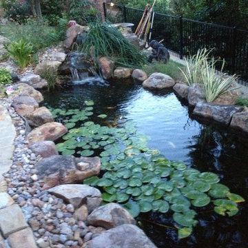 Ecosystem Ponds and Water Gardens By Continental Ponds