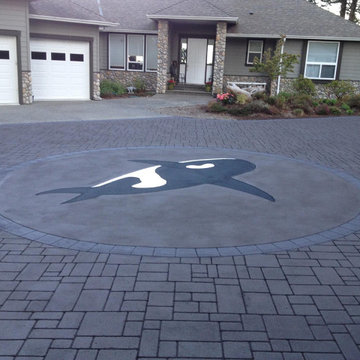 Killer Whale Decorative Stamped Asphalt Driveway