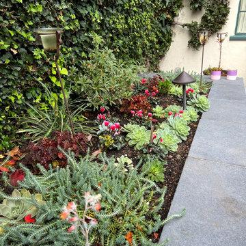Palo Alto | No Space Too Small to Transform
