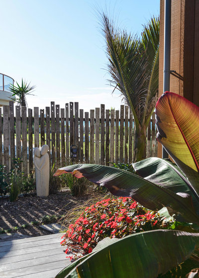 Beach Style  by Will Tatton Architecture