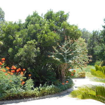 Summitt at West Rim,   Austin, Texas