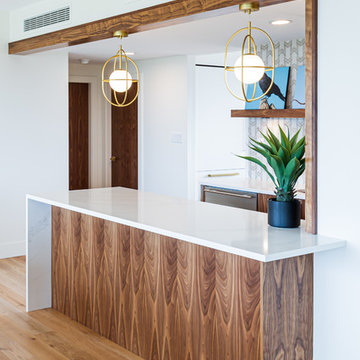Condo Renovation