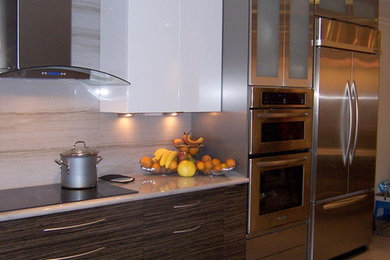 Inspiration for a contemporary kitchen remodel in Tampa