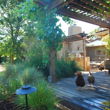 North Los Altos Backyard Entertainment