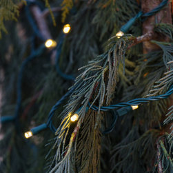 Alpharetta, GA Christmas Lighting Project String Light #1 - Holiday Lighting