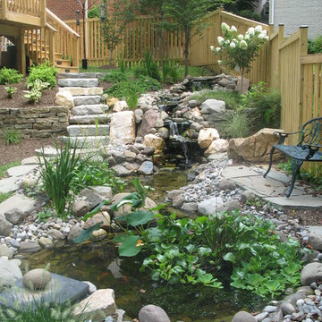 Ponds