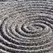 Giacomo Moleri's photo