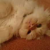 Ian Fraser's photo