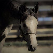Gabrielle Kostiuk's photo