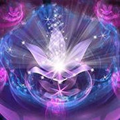 Diane Harrison's photo