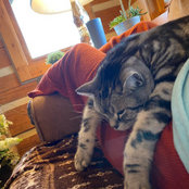 Caitlin Penn's photo
