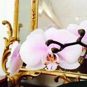 Pedro Saiz's photo
