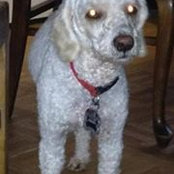 John Bjorge's photo