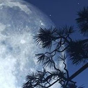 Lynn Zhou's photo