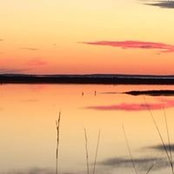 Susan Irwin-MacKenzie's photo