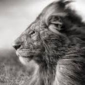 Manolo Rodriguez's photo