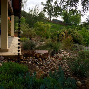 Escondido Front Yard