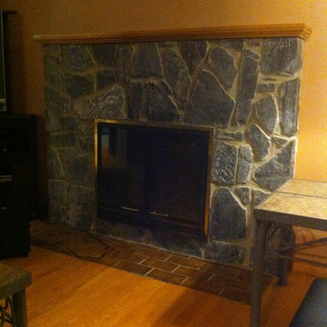 Fireplace Insert