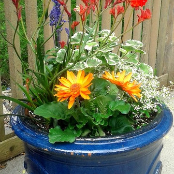Summer Container Garden