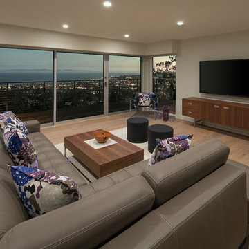 Hillside Contemporary Home Family Room