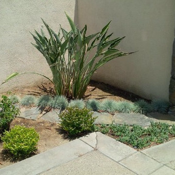 Irvine
