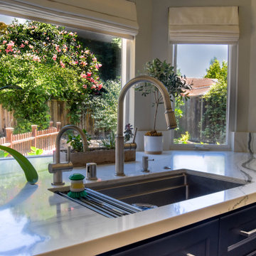 Entertainer's kitchen