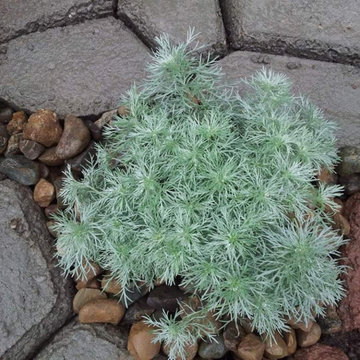 Landscaping/hardscaping