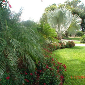 Front Yard/Back Yard/Pool Landscapes