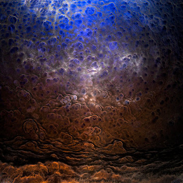 Glenmoangie Signet 193 by Ernie Button