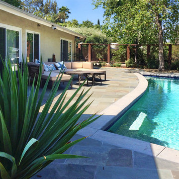 Hilltop Modern