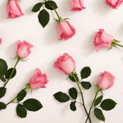 Katherine Wang's photo