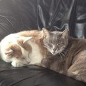 Lauren Berris's photo
