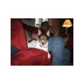 Christopher Morin's photo