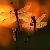 Donna Clarke's photo