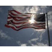 Jill Grunwald's photo