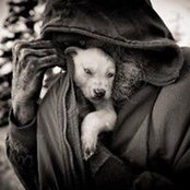 Chris Gibbs's photo