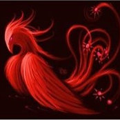 Ewa Czarnecka's photo