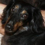 Susan Wise's photo