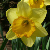 Melissa Fromme's photo