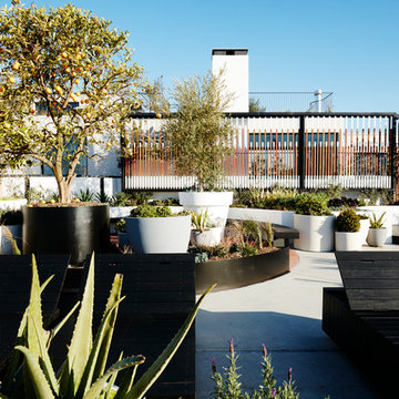 Surry Hills Warehouse