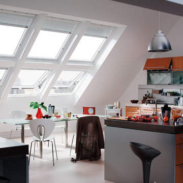 Roof Windows