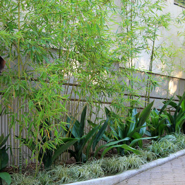 Garden Design Cap Ferrat | Dynamiques contemporaines dans un cadre subtropical
