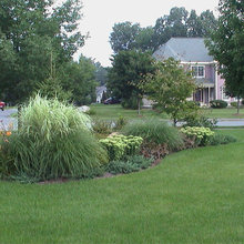 Side Yard