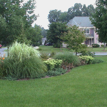 Bedford Accent Planting