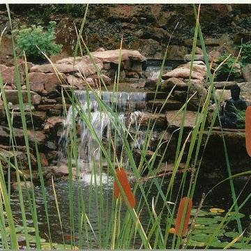 Japanese Garden